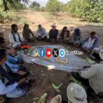 جمعيّة باجل تنفّذ زيارةً ميدانيّةً لتقييم مزارعين الذرة الشامية في عزلة الضامر جمعيّة باجل تنفّذ زيارةً ميدانيّةً لتقييم مزارعين الذرة الشامية في عزلة الضامر