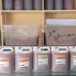 جمعية بني قيس تسوّق دفعة أولى من العسل الدوائي إلى العاصمة صنعاء