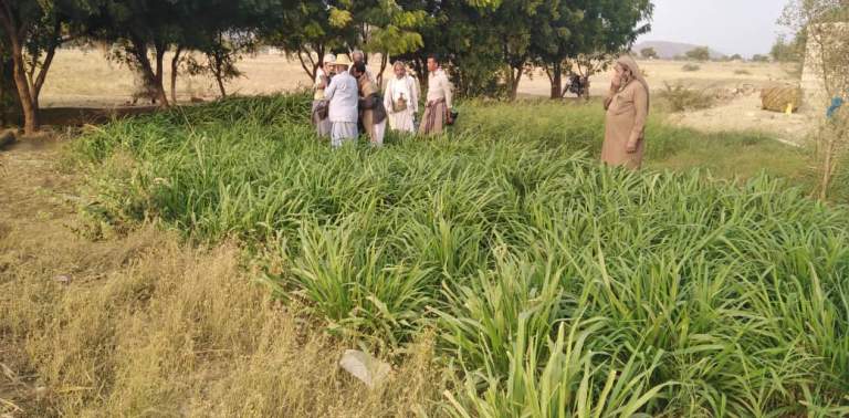 جمعية بني قيس تنفذ نزولًا إلى منطقة الهزاهيز وتشكّل مجموعة إنتاجية للذرة الشامية