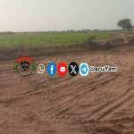 جمعية زبيد التعاونية الزراعية تنفذ زيارة ميدانية لتعزيز الإنتاج الزراعي في وادي زبيد جمعية زبيد التعاونية الزراعية تنفذ زيارة ميدانية لتعزيز الإنتاج الزراعي في وادي زبيد