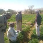 جمعية المتون تنفذ نزولاً ميدانياً لتحسين زراعة القمح وإدارة المياه في المحروق  جمعية المتون تنفذ نزولاً ميدانياً لتحسين زراعة القمح وإدارة المياه في المحروق 