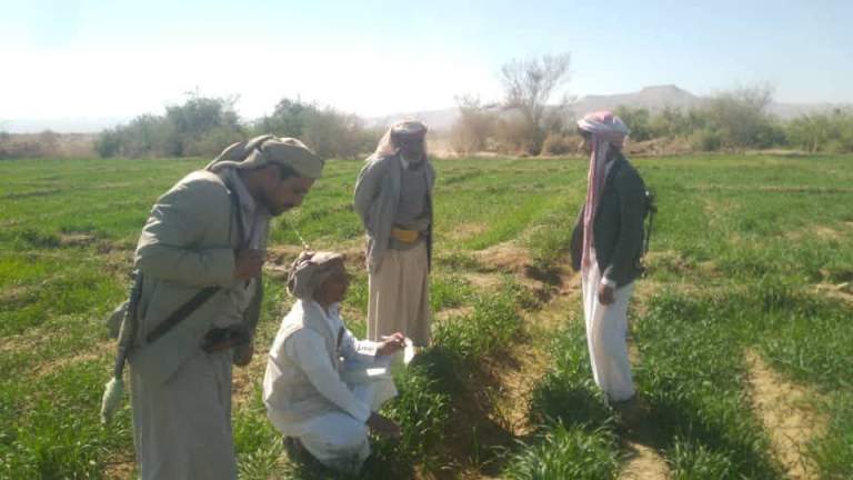 جمعية المتون تنفذ نزولاً ميدانياً لتحسين زراعة القمح وإدارة المياه في المحروق￼￼￼￼ ￼