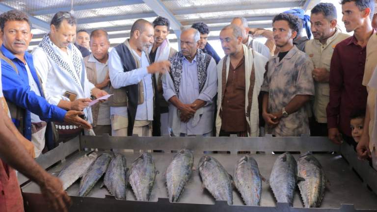 تدشين بيع الأسماك بالميازين الإلكترونية في محافظة الحديدة