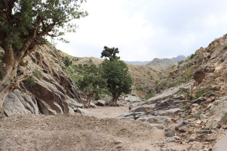 لقاء موسع في مديرية أفلح اليمن لإطلاق مبادرة إنشاء حاجز وادي زيد المائي