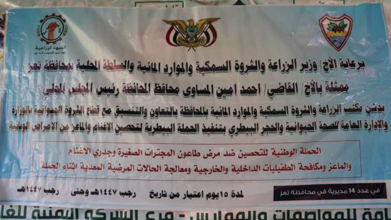 تعز.. تدشين حملة التحصين ضد طاعون المجترات الصغيرة وجدري الأغنام￼