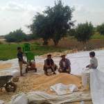 جمعية خيران تُشرف على محصول الذرة الشامية في المصفى عزلة مسروح￼￼￼￼ ￼