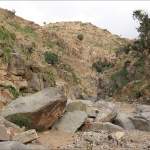 لقاء موسع في مديرية أفلح اليمن لإطلاق مبادرة إنشاء حاجز وادي زيد المائي لقاء موسع في مديرية أفلح اليمن لإطلاق مبادرة إنشاء حاجز وادي زيد المائي