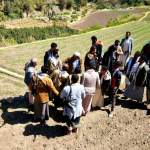 الاطلاع على مشاريع استصلاح الأراضي الزراعية في منطقة قهلان بمديرية دمت￼