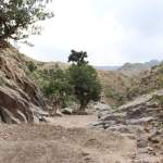 لقاء موسع في مديرية أفلح اليمن لإطلاق مبادرة إنشاء حاجز وادي زيد المائي لقاء موسع في مديرية أفلح اليمن لإطلاق مبادرة إنشاء حاجز وادي زيد المائي