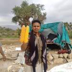 جمعية خيران تُشرف على محصول الذرة الشامية في المصفى عزلة مسروح￼￼￼￼ ￼