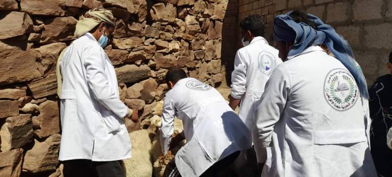 الضالع.. تنفيذ تدريباً عملياً لفرسان الصحة الحيوانية بجمعية جبن