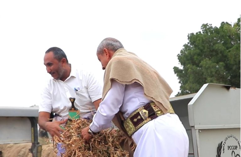 محافظ الحديدة يدشن حصاد محصول فول الصويا في مديرية باجل بالحديدة