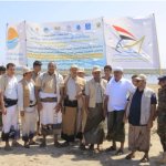 الحديدة.. تدشين زراعة خمسة آلاف شتلة من أشجار المانجروف بساحلي منظر والنخيلة