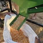 جمعية عبس التعاونية تدشن حصاد محصول الذرة الشامية جمعية عبس التعاونية تدشن حصاد محصول الذرة الشامية