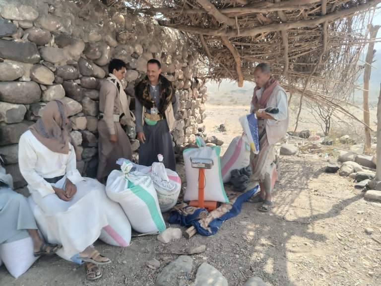 جمعية بلاد الطعام تنفذ نزولاً ميدانياً للحقول الإيضاحية وتدشّن برنامج تسويق الذرة الشامية