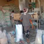 جمعية الجراحي تنفذ حملة توعوية حول أهمية مزج البر الأحمر والأبيض بالذرة الرفيعة