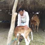 الفريق الميداني لجمعية بيت الفقيه يستكمل بيانات المجاميع الإنتاجية في عزلة بني محمد