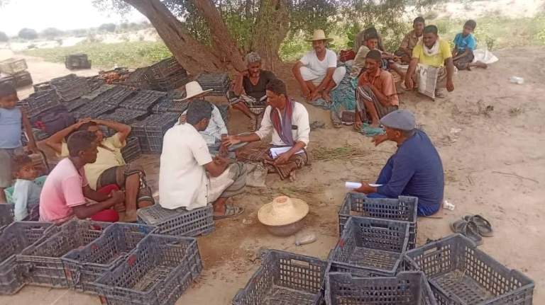 جمعية عبس تعزز الاستدامة الزراعية عبر نزولات ميدانية لتدريب المزارعين على تحضير السماد العضوي￼