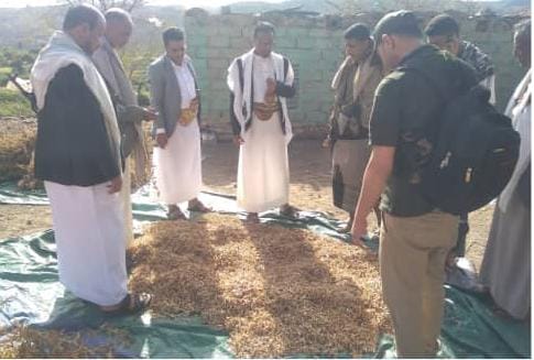 توسع في الزراعة التعاقدية ودعم مزارعي البطاط والقمح بيريم￼