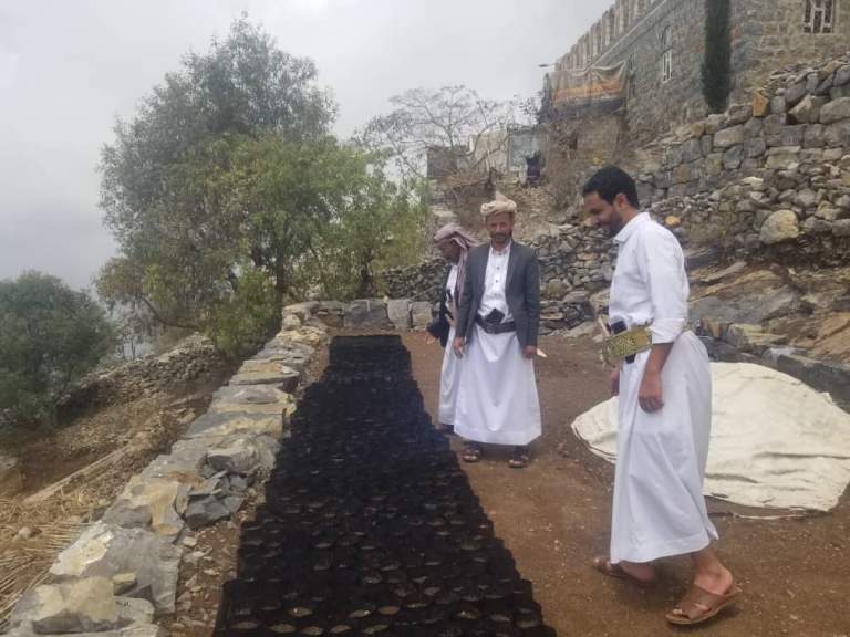 زيارة ميدانية للمشاتل المجتمعية في مديرية المحويت لتعزيز زراعة البن￼