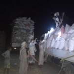 جمعية بني سعد تورّد 6 أطنان من قرون السيسبان إلى الحديدة لتحويلها إلى أعلاف للدواجن