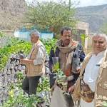 جمعية السدة التعاونية تدشن غرس 10 آلاف شتلة من محصولي البن واللوز جمعية السدة التعاونية تدشن غرس 10 آلاف شتلة من محصولي البن واللوز