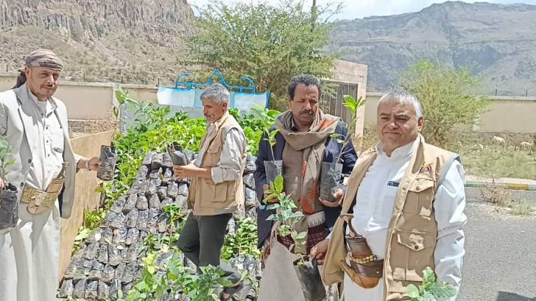جمعية السدة التعاونية تدشن غرس 10 آلاف شتلة من محصولي البن واللوز