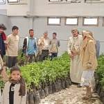 جمعية السدة التعاونية تدشن غرس 10 آلاف شتلة من محصولي البن واللوز