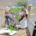 جمعية السدة التعاونية تدشن غرس 10 آلاف شتلة من محصولي البن واللوز