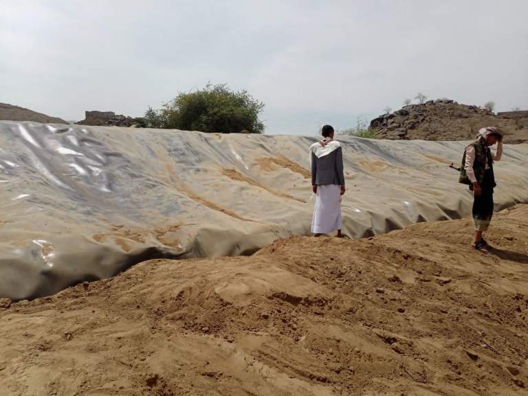 الحديدة.. تفقد سير العمل في مبادرة استصلاح الأراضي بمديرية باجل