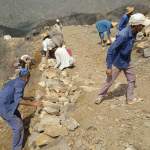 مبادرة مجتمعية لإعادة تأهيل طريق النويدرة بعزلة قيهمة – بني سعد