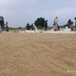 جمعية باجل تواصل استلام محصول فول الصويا بالتنسيق مع مؤسسة الحبوب