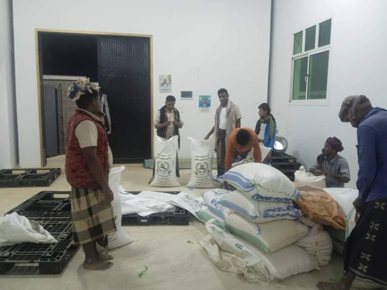 حجة.. جمعية خيران التعاونية تستقبل سبعة أطنان من محصول الذرة الشامية ضمن الزراعة التعاقدية