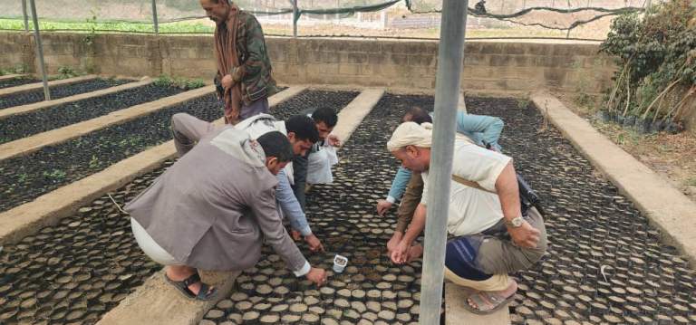 ذمار.. تدشين مبادرة زراعة 500 نخلة بجبل الشرق