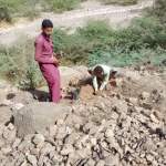 المحويت.. جمعية بني سعد تدعم مبادرة زراعية لتوسيع سلسلة الجوافة بوادي عشق المحويت.. جمعية بني سعد تدعم مبادرة زراعية لتوسيع سلسلة الجوافة بوادي عشق