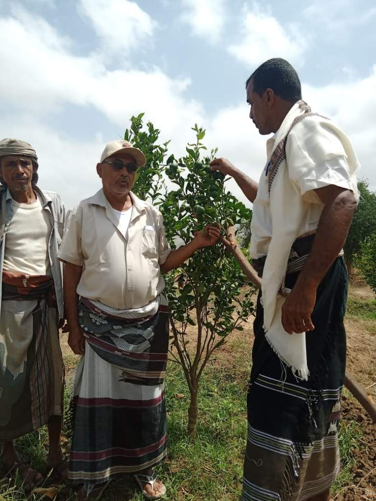 الفريق الميداني لجمعية بيت الفقيه يستكمل بيانات المجاميع الإنتاجية في عزلة بني محمد