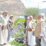 جمعية السدة التعاونية تدشن غرس 10 آلاف شتلة من محصولي البن واللوز