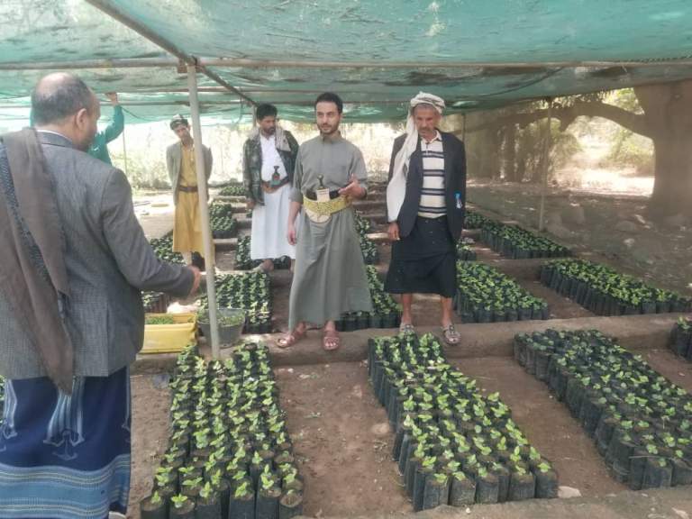 زيارة تفقدية لمشتل لاحمة بالمحويت لتعزيز إنتاج الشتلات الزراعية￼