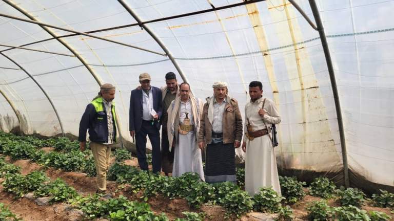 وكيل محافظة ذمار يتفقد سير العمل في مشاتل هران النموذجية