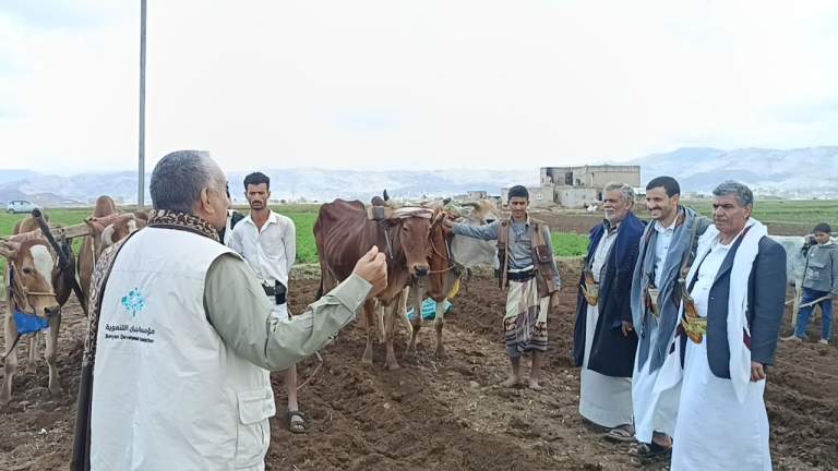 تدشين زراعة مساحة 1200 قصبة بالعتر البلدي في قاع الحقل بيريم