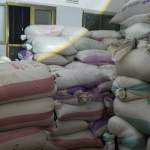 الجوف.. جمعية مجزر تفتتح نقطة شراء ثانية للقمح وتحقق إنجازًا يتجاوز 25 طن