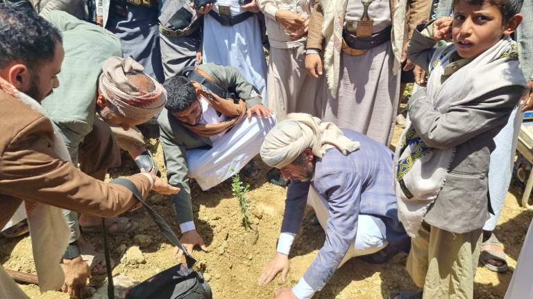 عمران.. تدشين توزيع 2700 شتلة لوز بمبادرة مجتمعية بمديرية ريدة