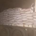 جمعية الجراحي التعاونية تسوق 55 طناً من محصول الذرة الشامية