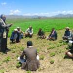 تشكيل مجموعتين إنتاجيتين في يريم ورسم رؤية تسويقية للمحاصيل الزراعية