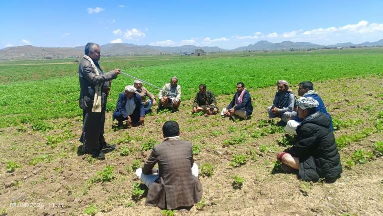 تشكيل مجموعتين إنتاجيتين في يريم ورسم رؤية تسويقية للمحاصيل الزراعية