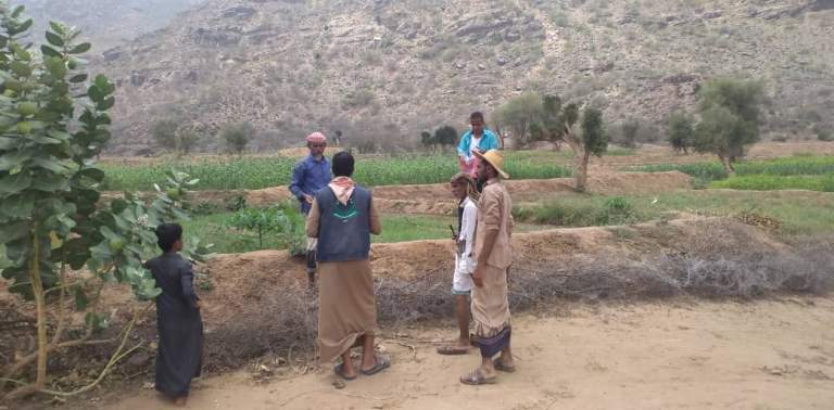 المحويت.. مديرية الخبت تشهد نزولًا ميدانيًا لتعزيز سلاسل القيمة الزراعية والحيوانية