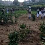 وفد زراعي يطلع على الأراضي الزراعة في مديرية أفلح اليمن بحجة وفد زراعي يطلع على الأراضي الزراعة في مديرية أفلح اليمن بحجة