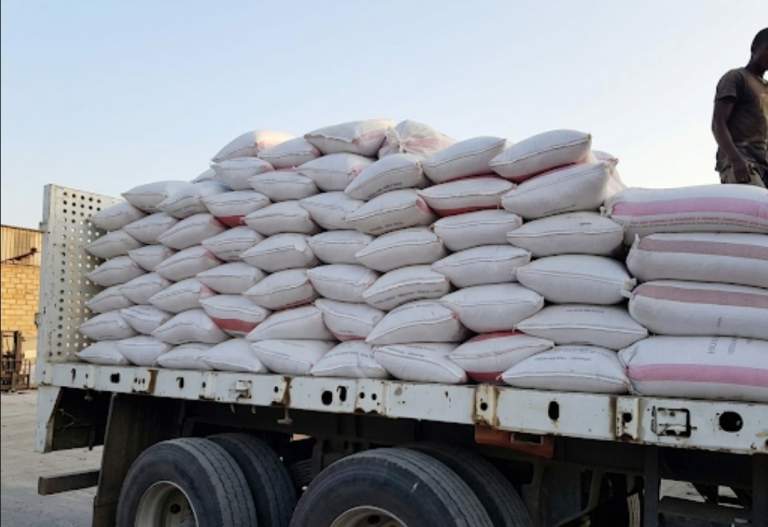 جمعية الجراحي التعاونية تسوق 55 طناً من محصول الذرة الشامية