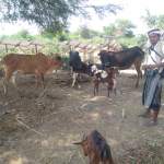 جمعية زبيد التعاونية تتابع معالجة أضرار السيول ومشاريع التمكين الاقتصادي جمعية زبيد التعاونية تتابع معالجة أضرار السيول ومشاريع التمكين الاقتصادي