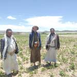 جمعية قاع جهران تُنفذ زيارة تفقدية لحقول محصول الفاصوليا بالمنطقة